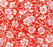 ��ǰ�̹���